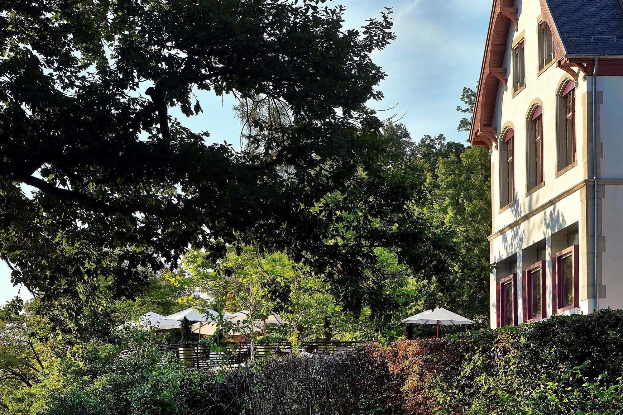 Sorell Hotel Rigiblick - Studios & Spa Suites チューリッヒ エクステリア 写真